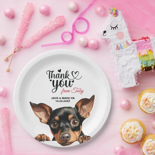 Assiettes En Carton Manchester Terrier (Fête)