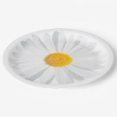 Assiettes En Carton marguerite blanche (Angle)