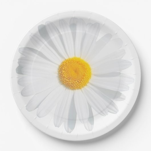 Assiettes En Carton marguerite blanche (Devant)
