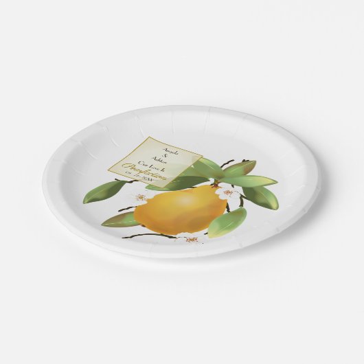 Assiettes En Carton Mariage de fruits poires (Angle)