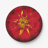 Assiettes En Carton marigold rouge vif (Devant)