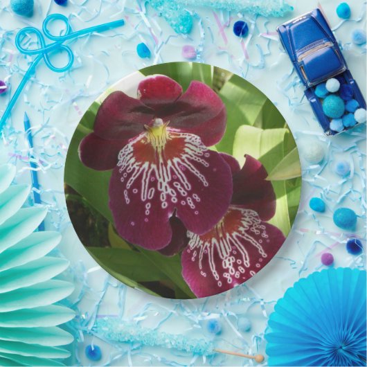 Assiettes En Carton Maroon Orchids II (Fête)