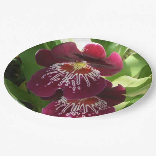 Assiettes En Carton Maroon Orchids II (Angle)