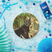 Assiettes En Carton Matin Sun de chat noir (Fête)