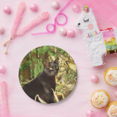 Assiettes En Carton Matin Sun de chat noir (Fête)