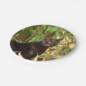 Assiettes En Carton Matin Sun de chat noir (Angle)