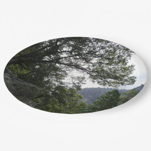 Assiettes En Carton Matin sur le sentier à Vernal Falls à Yosemite (Angle)