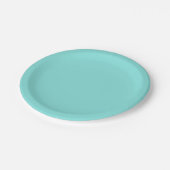 Assiettes En Carton Mauvaise couleur turquoise turquoise (Angle)