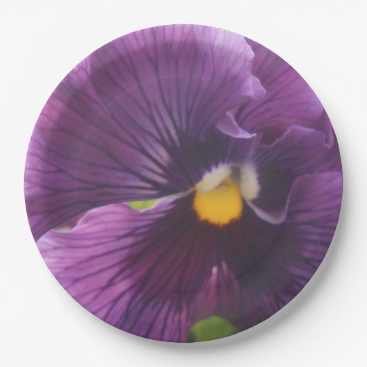 Assiettes En Carton Mechteld (Devant)