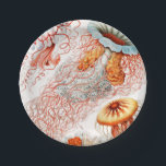 Assiettes En Carton Méduse, Discomedusae par Ernst Haeckel<br><div class="desc">Méduse,  Discomedusae Scheibenquallen par Ernst Haeckel Paper Plate</div>