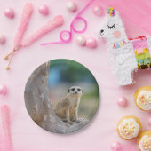 Assiettes En Carton Meerkat SAT sur l'arbre (Fête)