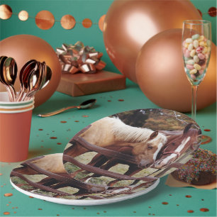 Assiettes En Carton Meilleurs amis