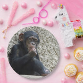 Assiettes En Carton Mer de Chimpané 013 (Fête)