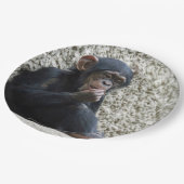 Assiettes En Carton Mer de Chimpané 013 (Angle)