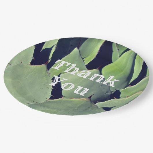 Assiettes En Carton Merci Sud-Ouest Style Agave Appréciation (Angle)