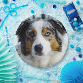 Assiettes En Carton merle bleu 3 de berger australien (Fête)