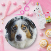 Assiettes En Carton merle bleu 3 de berger australien (Fête)