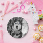 Assiettes En Carton Mes yeux de bleus layette (Fête)