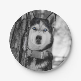 Assiettes En Carton Mes yeux de bleus layette