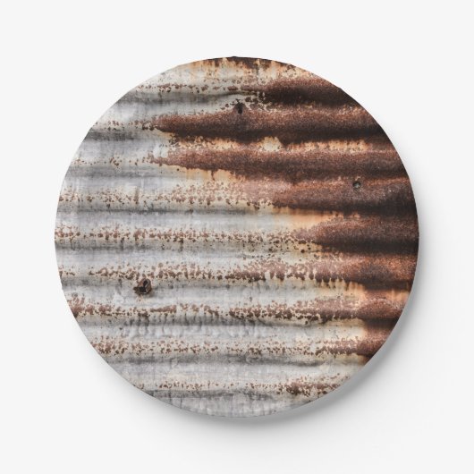 Assiettes En Carton Metal Vintage (Devant)