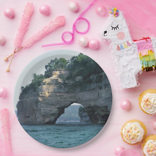 Assiettes En Carton Michigan Petit Portal (Fête)