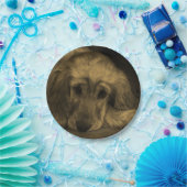 Assiettes En Carton Mignonne Golden Retriever Dog Pose (Fête)