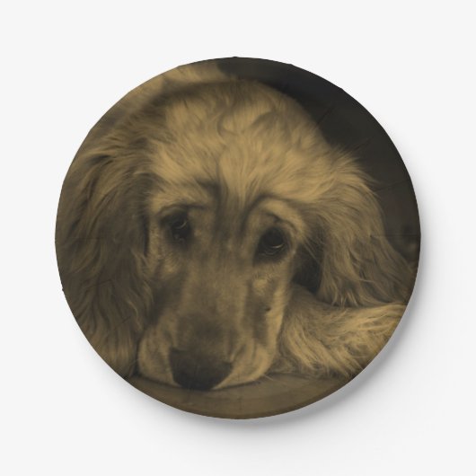 Assiettes En Carton Mignonne Golden Retriever Dog Pose (Devant)