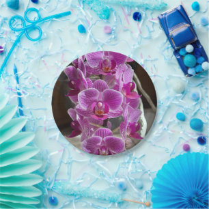 Assiettes En Carton Mini Phalaenopsis Sogo Vivien Orchidée violet