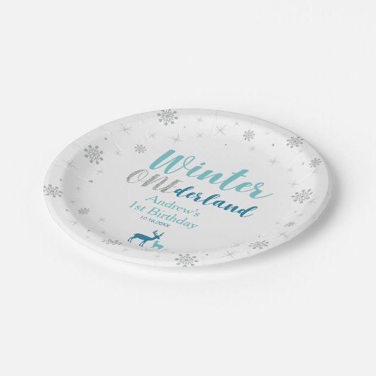 Assiettes En Carton Mint Winter Onederland Garçon 1er fête d'anniversa (Angle)