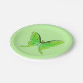 Assiettes En Carton Mite de Luna - vert de chaux sur un pâle - arrière (Angle)