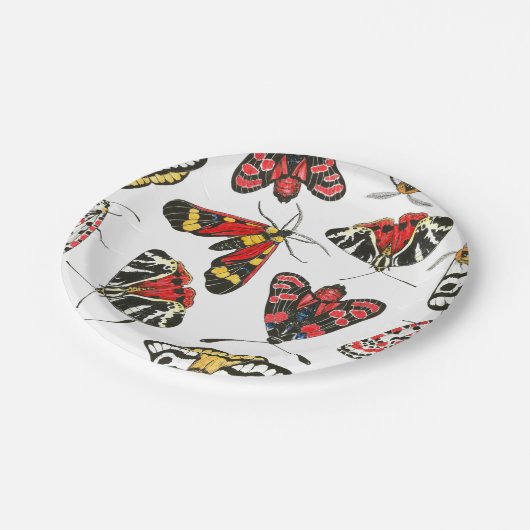 Assiettes En Carton Mois (Angle)