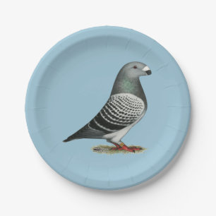 Assiettes En Carton Montrez à coureur le pigeon bleu de contrôleur
