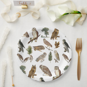 Assiettes En Carton Motif de forêt de l'aquarelle de la Chouette vinta
