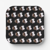 Assiettes En Carton Motif des Cochons de Guinée Tortoiseshell, (Recto)