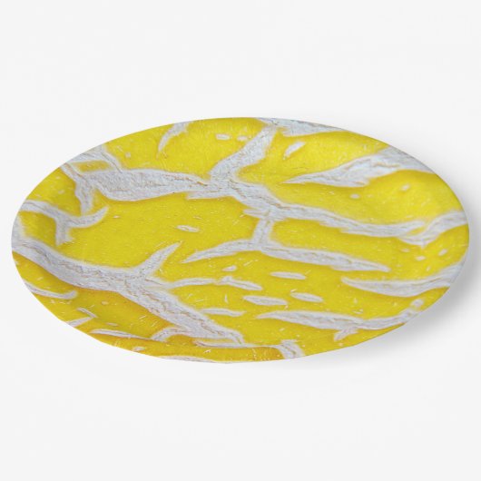 Assiettes En Carton Motif melon jaune (Angle)