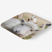 Assiettes En Carton Mouton (Angulaire)