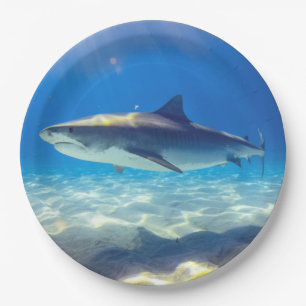 Assiettes En Carton Nage des requins Eau bleue