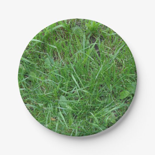 Assiettes En Carton Nature, correction d'herbe, plaque à papier (Devant)