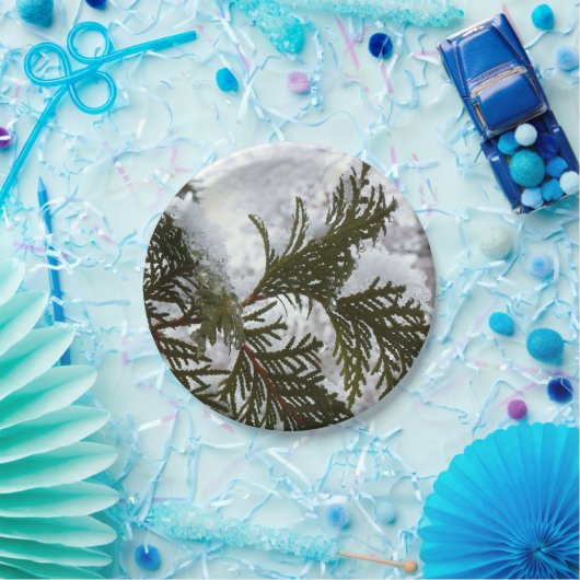 Assiettes En Carton Neige sur les branches À feuillage persistant (Fête)