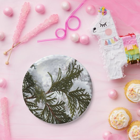 Assiettes En Carton Neige sur les branches À feuillage persistant (Fête)