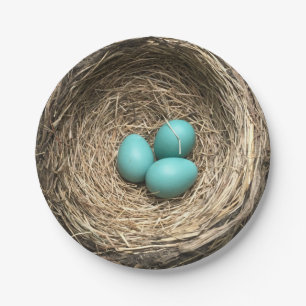 Assiettes En Carton Nid d'oiseaux avec les oeufs bleus