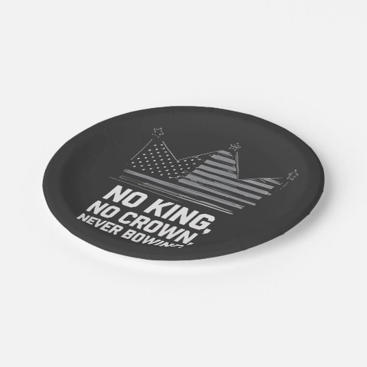 Assiettes En Carton No Kings In America Save Democracy I dissident Ant (Angle)