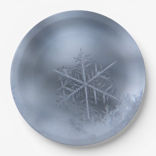 Assiettes En Carton noël d'hiver 97 (Devant)