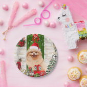 Assiettes En Carton Noël du chien de Poméranie (Fête)