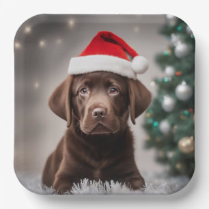 Assiettes En Carton Noël du Labrador au chocolat