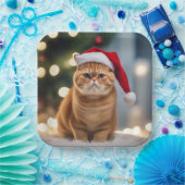 Assiettes En Carton Noël Exotique Shorthair (Fête)