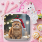 Assiettes En Carton Noël Exotique Shorthair (Fête)