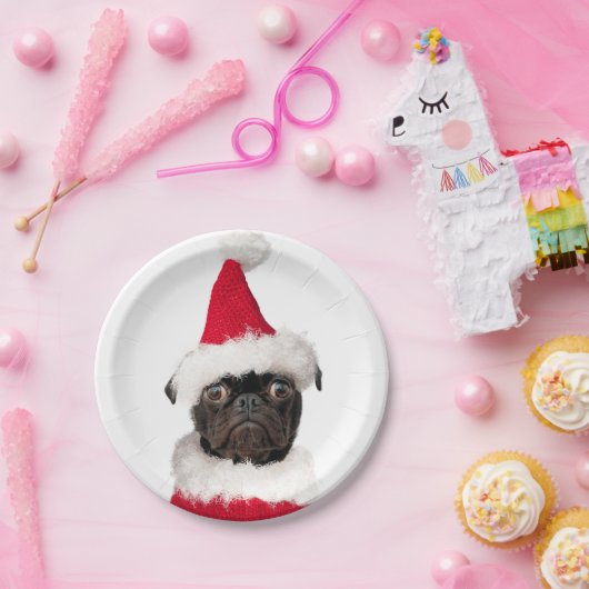 Assiettes En Carton Noël Festif mignon Carlin noir Santa Hat (Fête)