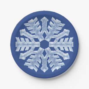 Assiettes En Carton Noël givré congelé bleu glacial d'hiver de floc