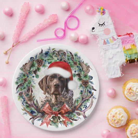 Assiettes En Carton Noël Gsp (Fête)